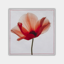 Blossom NO.95