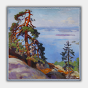 Eero Järnefelt – Krajina z Kolia