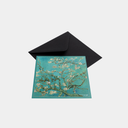Postcard - Almond Blossoms